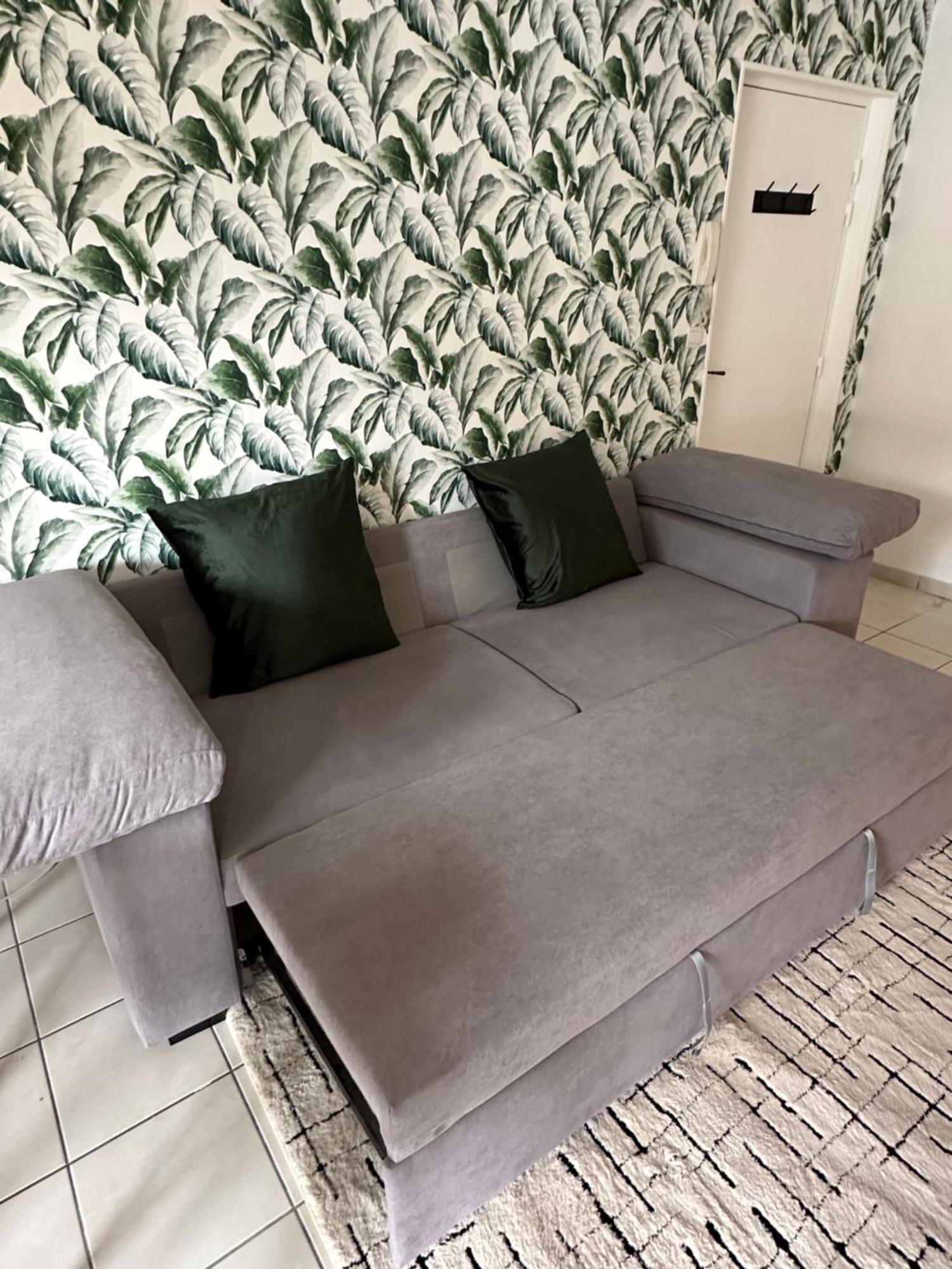Appartement Entierement Renove Руа Екстер'єр фото